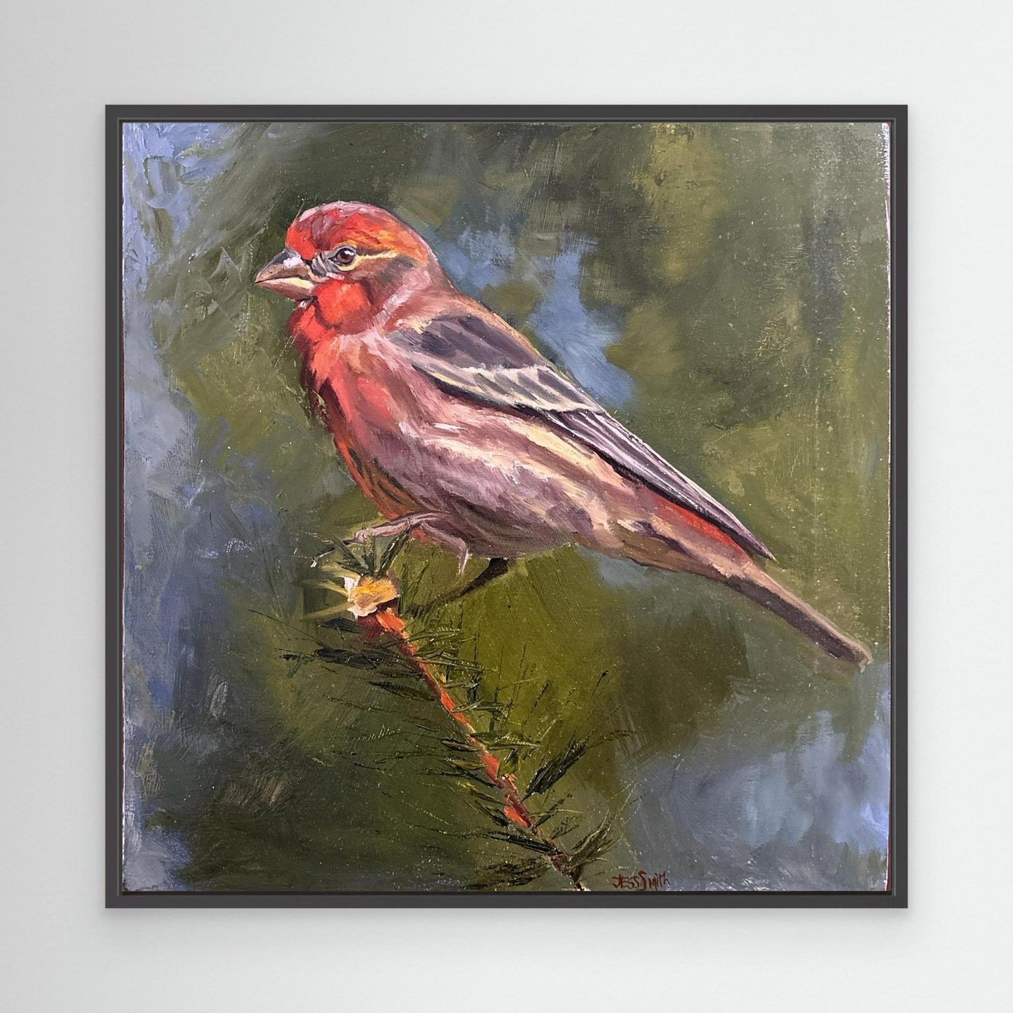 The Finch's Song
