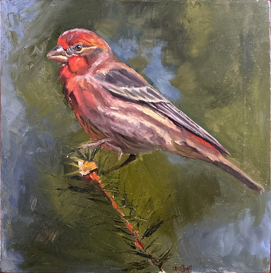Original Art - The Finch's Song
