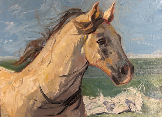 Original - Ocean Horse Painting