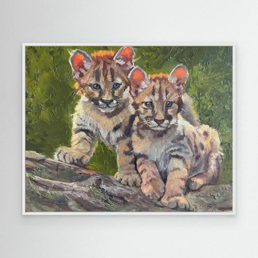 Mountain Lion Twins